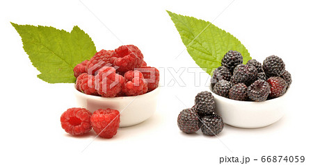 Raspberry and blackberry in white bowls Raspberry and blackberry in white bowls 66874059