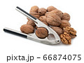 Walnuts with nutcracker 66874075