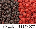 Blackberry and raspberry 66874077