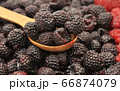 Blackberry and raspberry with wooden spoon 66874079