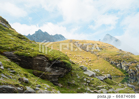 Beautiful mountain landscape with sheep on the hill Beautiful mountain landscape with sheep on the hill 66874086