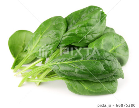 Spinach salad 66875280
