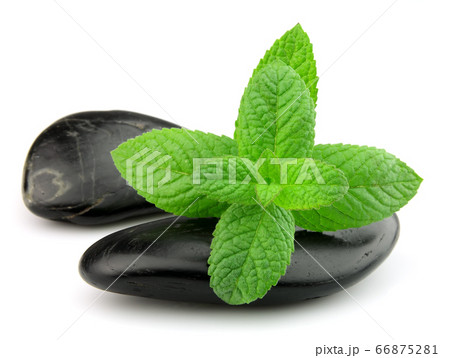 Black stone with leaves mint 66875281