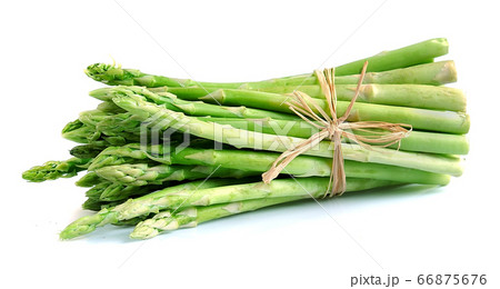 Asparagus Asparagus 66875676