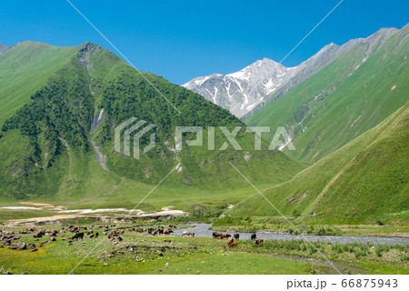 トルソバレー（Truso valley）　ジョージア（グルジア）カズベギ 66875943