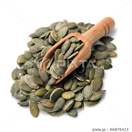 pumpkin seed 66876423