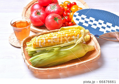 夏野菜、田舎の夏野菜の収穫イメージ。トウモロコシは茹でてあります。とうもろこしとトマト、朝穫れ。 夏野菜、田舎の夏野菜の収穫イメージ。トウモロコシは茹でてあります。とうもろこしとトマト、朝穫れ。 66876661