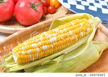 夏野菜 田舎の夏野菜の収穫イメージ トウモロコシは茹でてあります とうもろこしとトマト 朝穫れ の写真素材