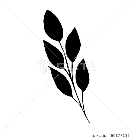 Black Leaf Inked Silhouette Vector Isolated のイラスト素材 66877152 Pixta