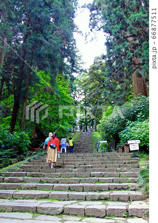 【宮城】夏の仙台　瑞鳳殿参道を進む観光客 66877511