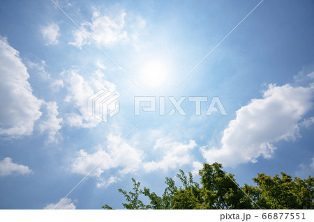 初夏の青空と森 66877551