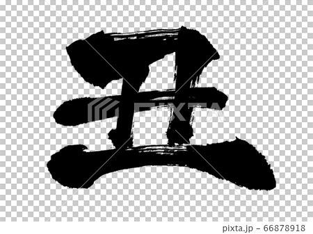 Brush 66878918