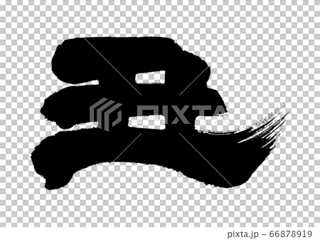 Brush 66878919
