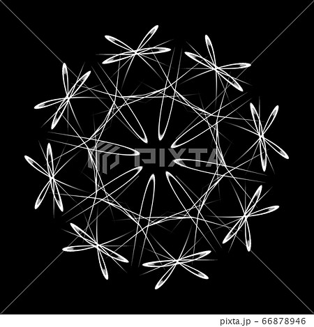 美しい八角形　20200626_007m 66878946