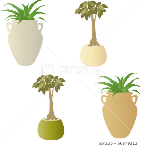 観葉植物数種のイラスト素材