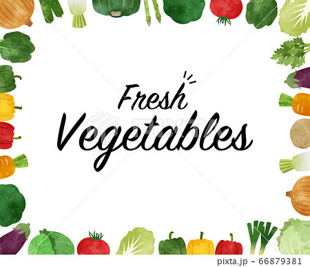 野菜の水彩画フレーム 66879381