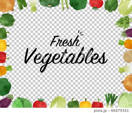 野菜の水彩画フレーム 66879381