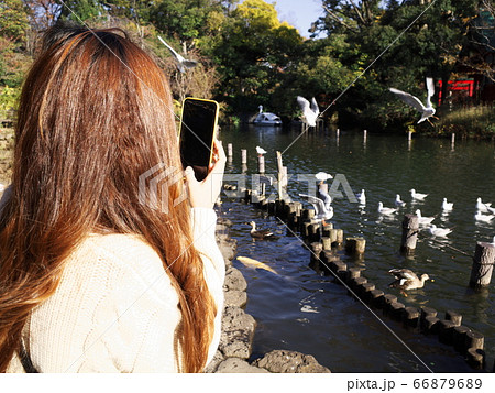 洗足池 スマホ撮影女子 洗足池 スマホ撮影女子 66879689