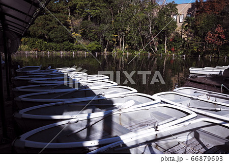 洗足池　ボート乗場 66879693