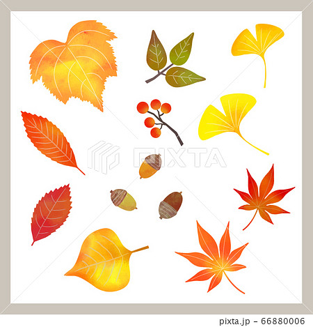 いろいろな秋の葉っぱ ベクター版 のイラスト素材
