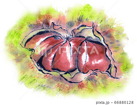 油絵(手書き) 手書き油彩画 油彩 絵画 絵画 vintage ART Zx Paintings