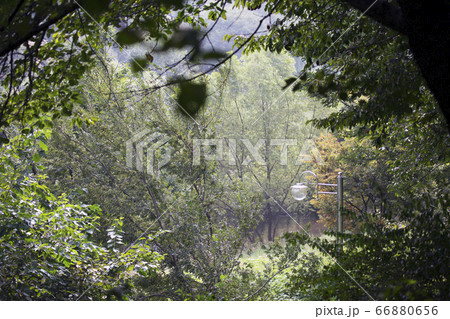 良才川 土 地 66880656