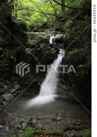 妹ヶ谷不動の滝 66880919