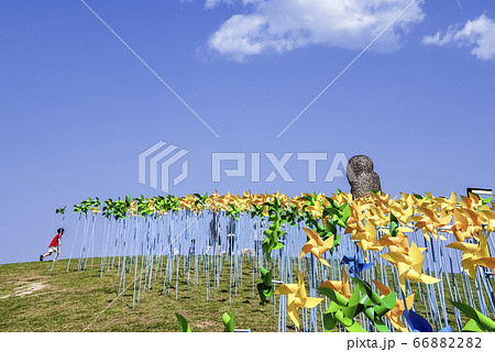 風景 平和ヌリ公園 公園 66882282