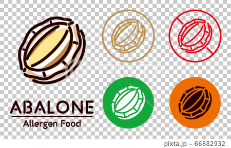 矢量 鮑魚 耳廓 66882932