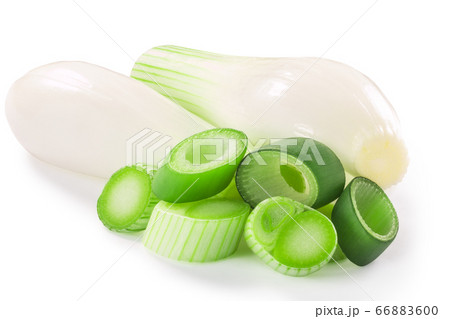 Sliced  Green leek with stem and bulbs isolated w 66883600