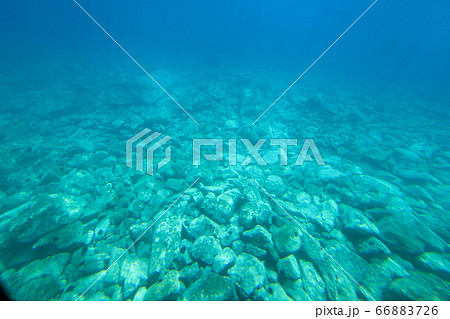 北海道 夏 積丹半島 ニューしゃこたん号から眺めた海中 北海道 夏 積丹半島 ニューしゃこたん号から眺めた海中 66883726
