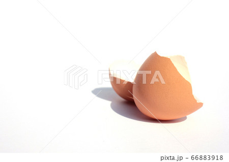 Egg shell isolated on white background 66883918