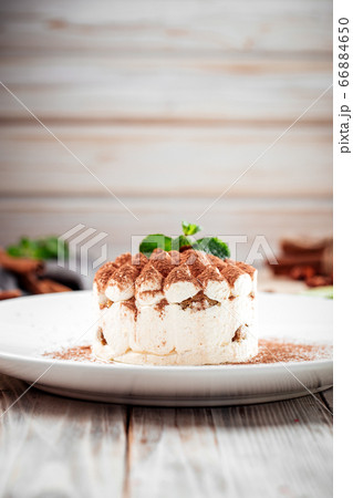Sponge cake with chocolate sprinkles and mint 66884650