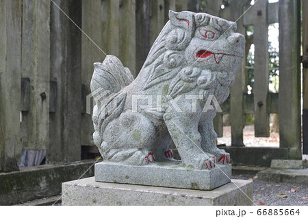 狛犬の石像(阿形像)（山内神社／高知県高知市鷹匠町2-4-65） 66885664