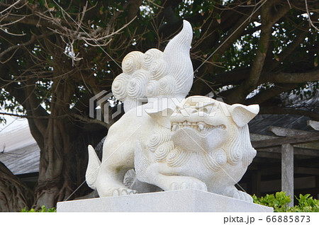 威嚇するポーズの唐獅子像（青島神社／宮崎県宮崎市青島） 66885873