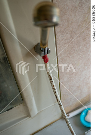 シャワーホースのカビ シャワーホースのカビ 66886006