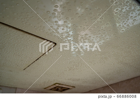 浴室天井の結露 66886008