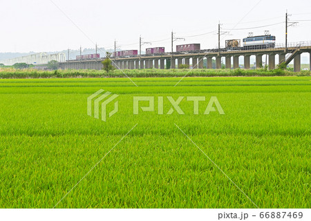 鹿島線の貨物列車 66887469