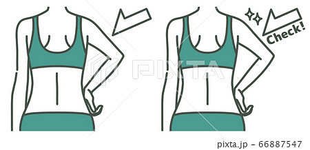 女性の二の腕と背中 チェック 2色のイラスト素材