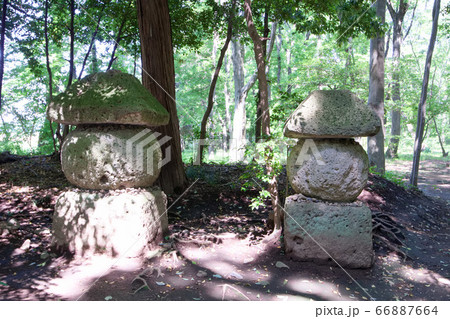 下野市　天平の丘公園　伝紫式部の墓 66887664