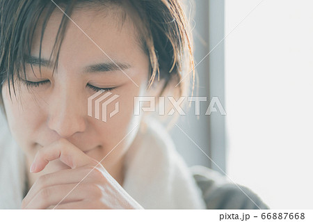 ハウスダスト 66887668