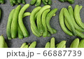 キュウリ 夏 食べ物 66887739