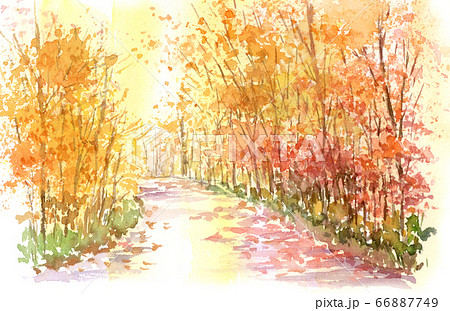秋の遊歩道 水彩画のイラスト素材