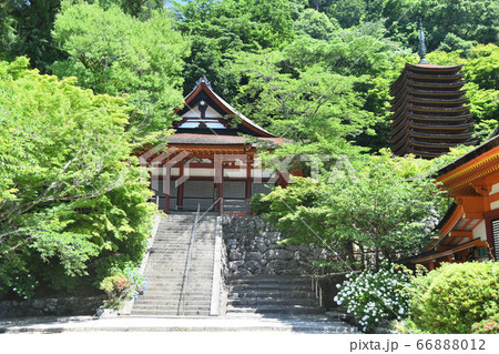 談山神社 けまりの庭から権殿と十三重塔 談山神社 けまりの庭から権殿と十三重塔 66888012