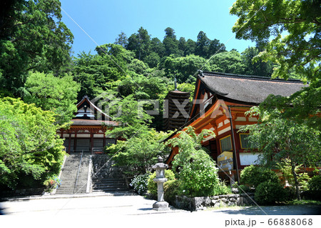 談山神社　けまりの庭から権殿と十三重塔、神廟拝所 66888068