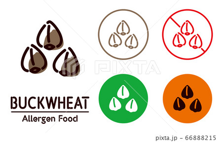 Buckwheat icon / food allergy, allergen Buckwheat icon / food allergy, allergen 66888215