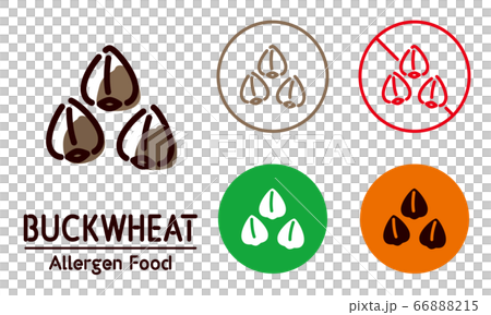 Buckwheat icon / food allergy, allergen Buckwheat icon / food allergy, allergen 66888215