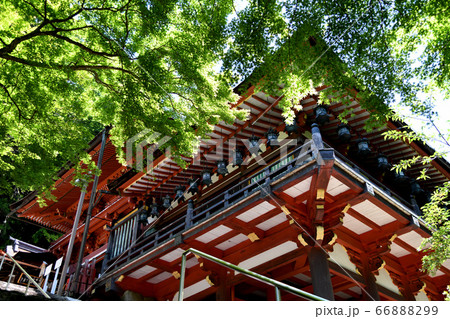 談山神社　楼門と拝殿 66888299