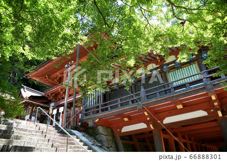 談山神社　楼門と拝殿 66888301