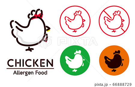 Chicken icon / food allergy, allergen 66888729